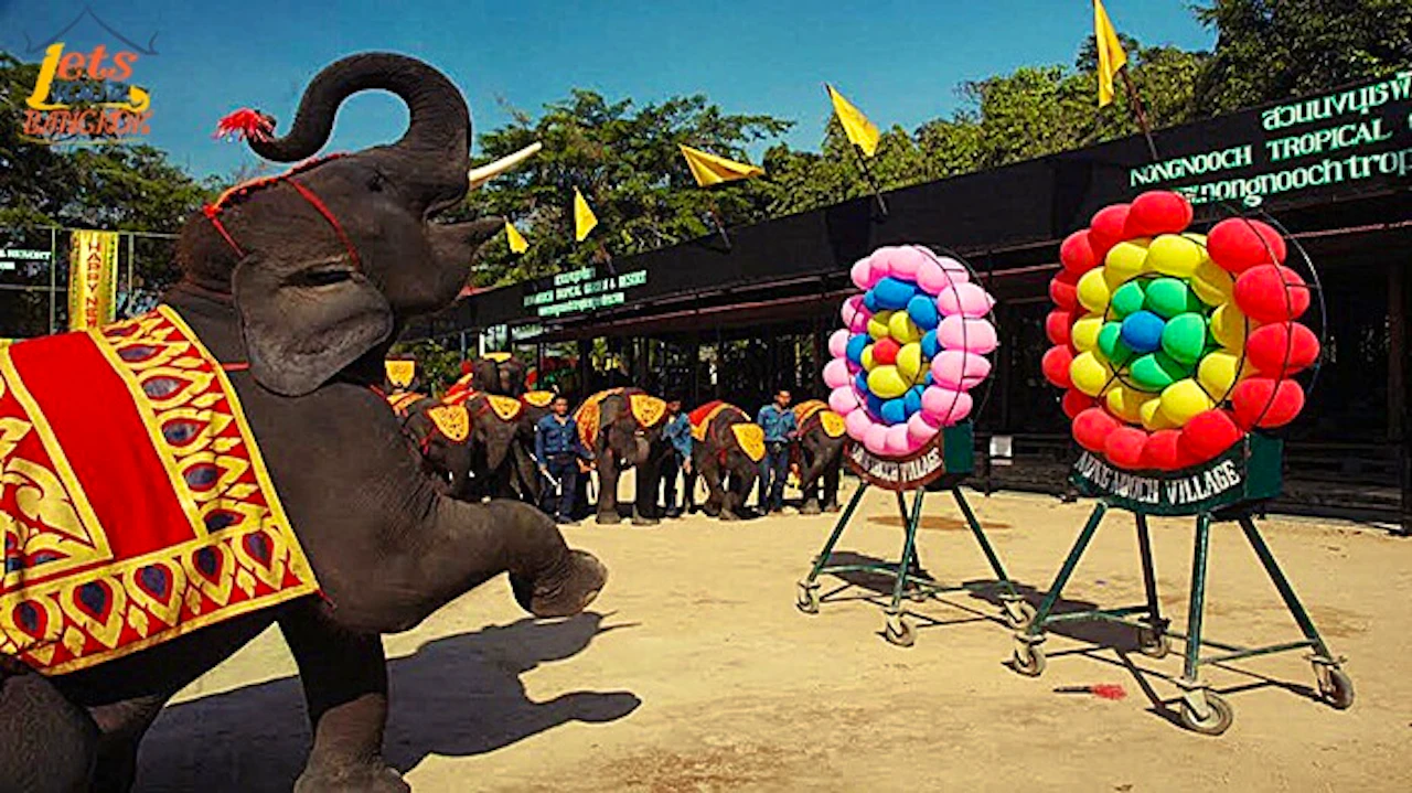 Private Day Tour In Pattaya Ticket
